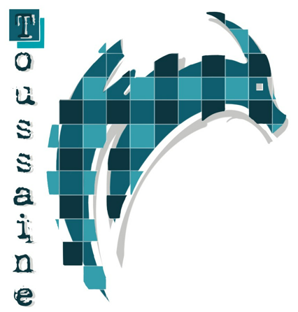 Toussaine Sàré